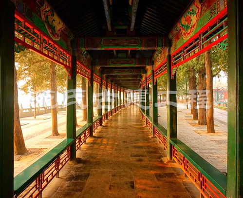 古建主體施工 苑氏古建工程專業(yè)公司 古建主體施工團(tuán)隊(duì)