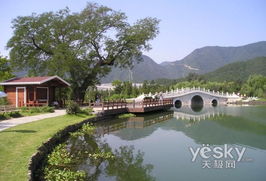 回顧發(fā)展的60年 1990年至1999年的北京