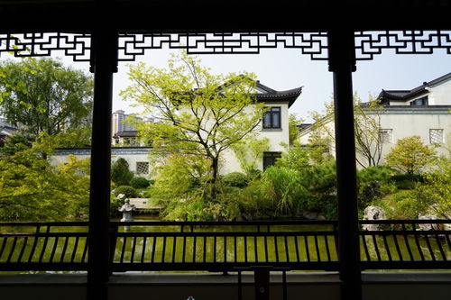 熱烈祝賀我司六個項目榮獲2019年度杭州市優秀園林綠化工程金獎